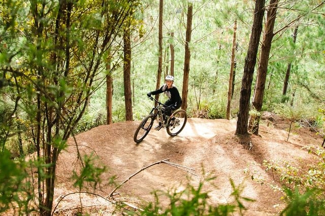 Bike Hire at the Waitangi Mountain Bike Park  - Photo 1 of 9